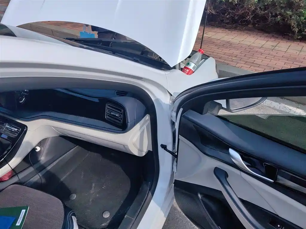 BYD Qin PLUS 2021 DM-i 55KM Premium фото 22