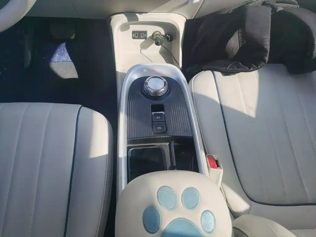 Ora Good Cat 2023 2022 400km Standard Range Luxury LFP