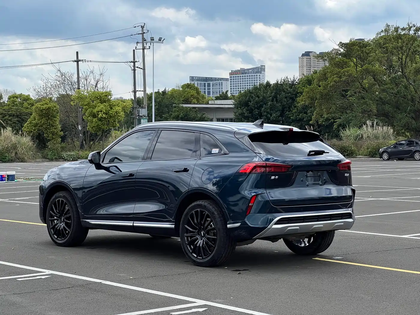 WEI PAI WEI BRAND MOCHA