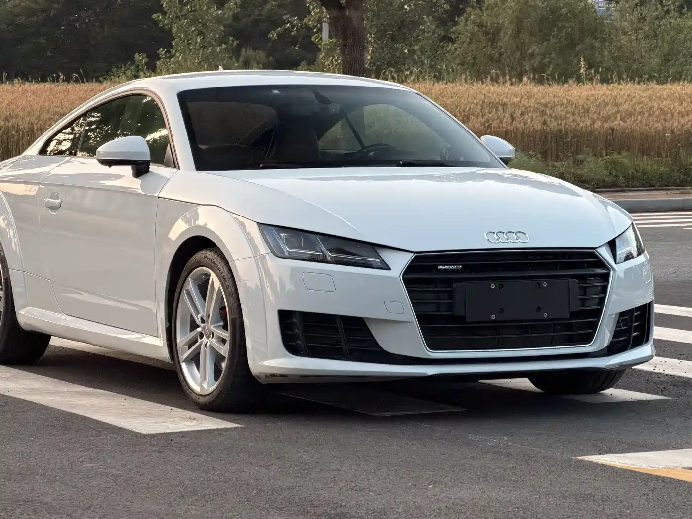 Audi TT 2015 TT Coupe 45 TFSI quattro фото 3