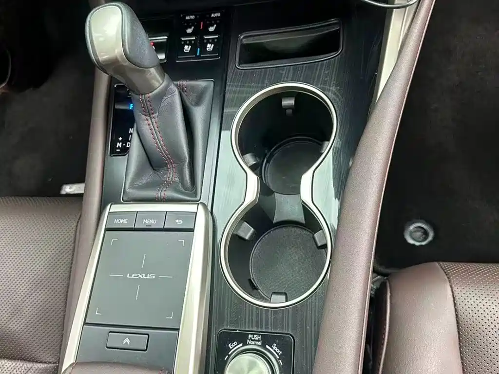 Lexus RX 2020 300 AWD Elegance Edition China V фото 7