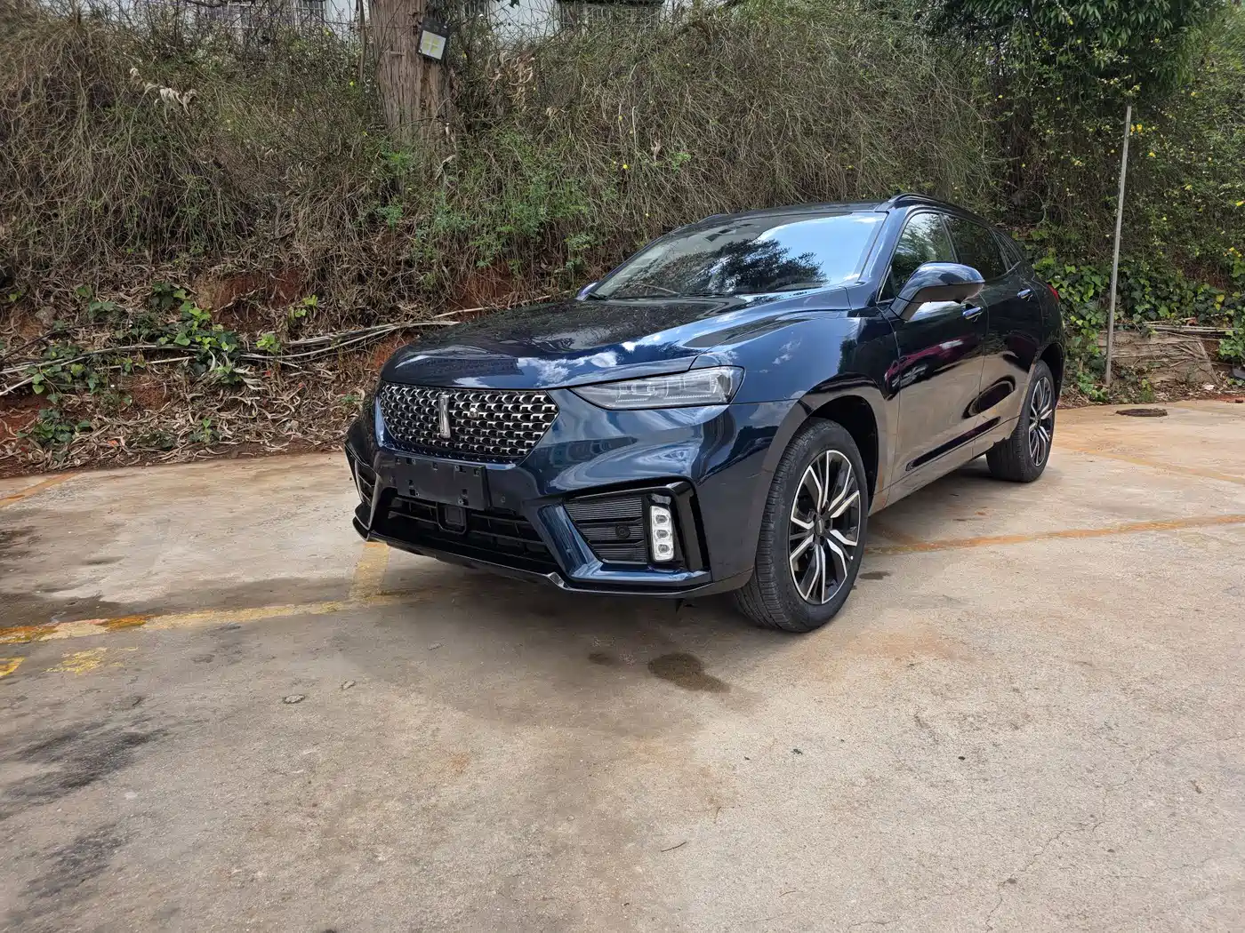 WEI PAI WEI BRAND VV7