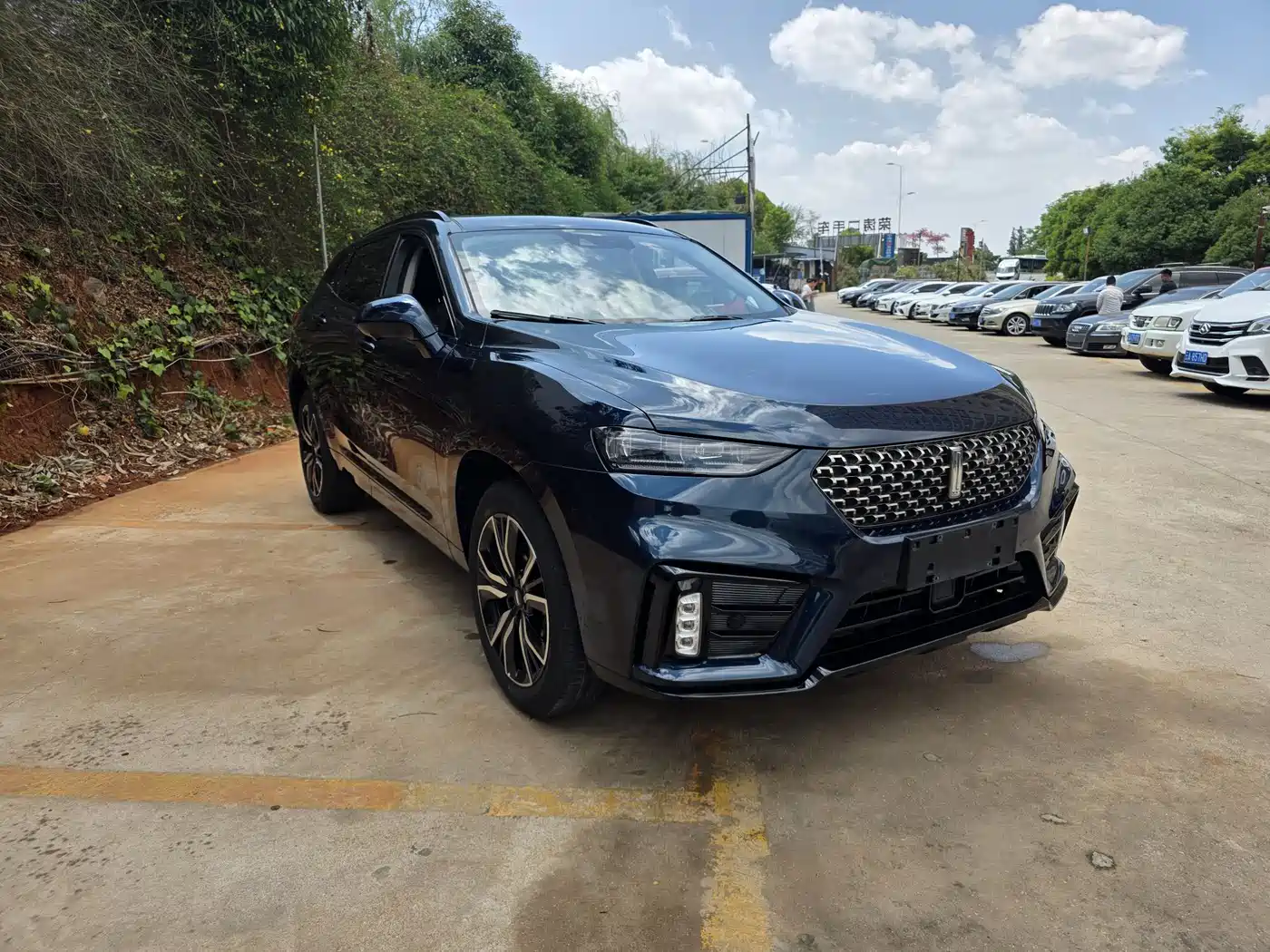 WEI PAI WEI BRAND VV7