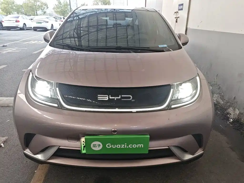 Photo 3 - BYD Dolphin