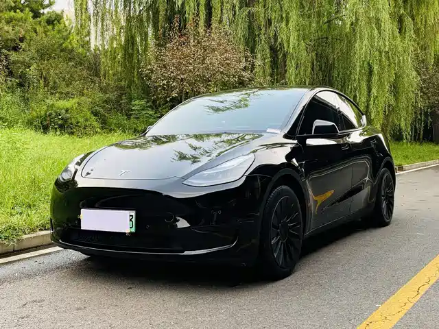 Tesla Model Y Рестайлинг, задний привод
