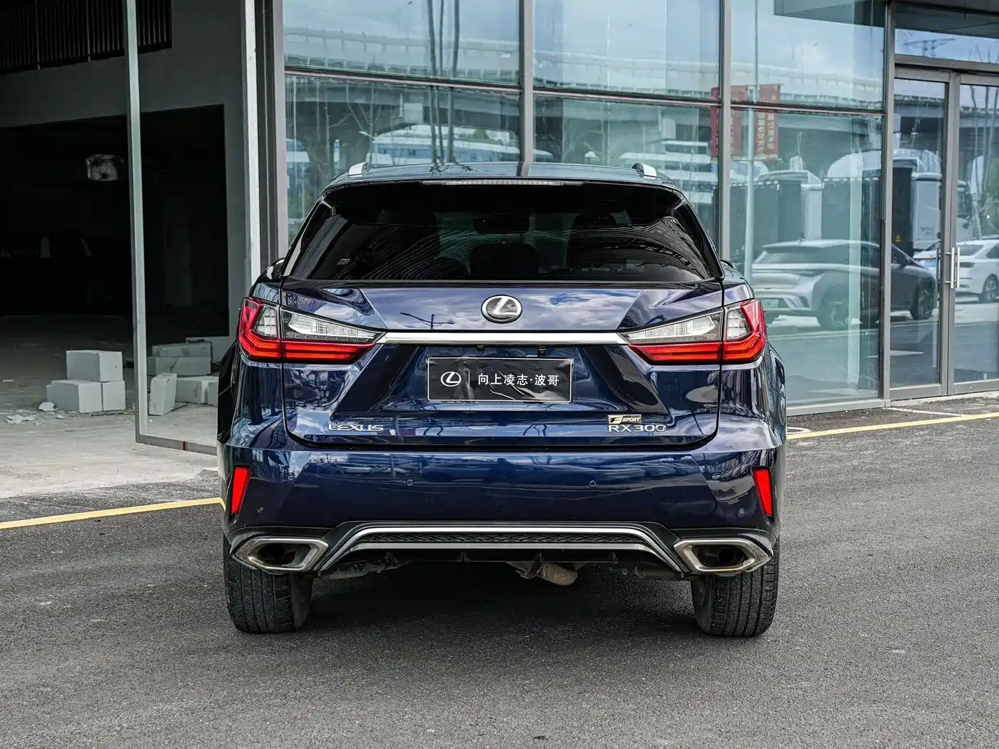 LEXUS RX