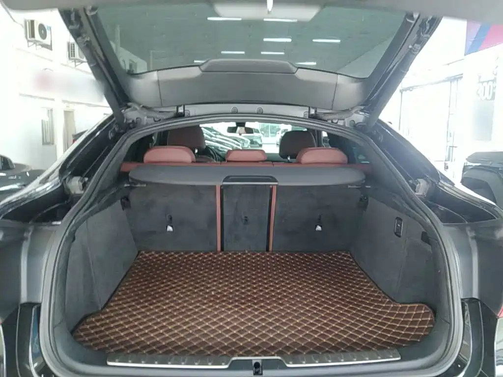 Photo 19 - BMW X6