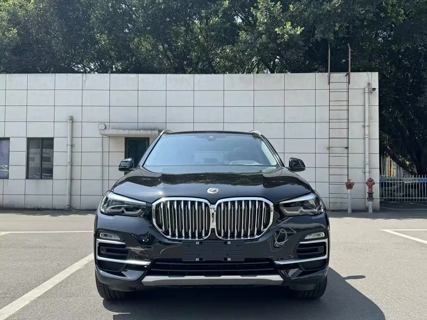 BMW X5 (Import) 2020 xDrive40i M Sport Package фото 2