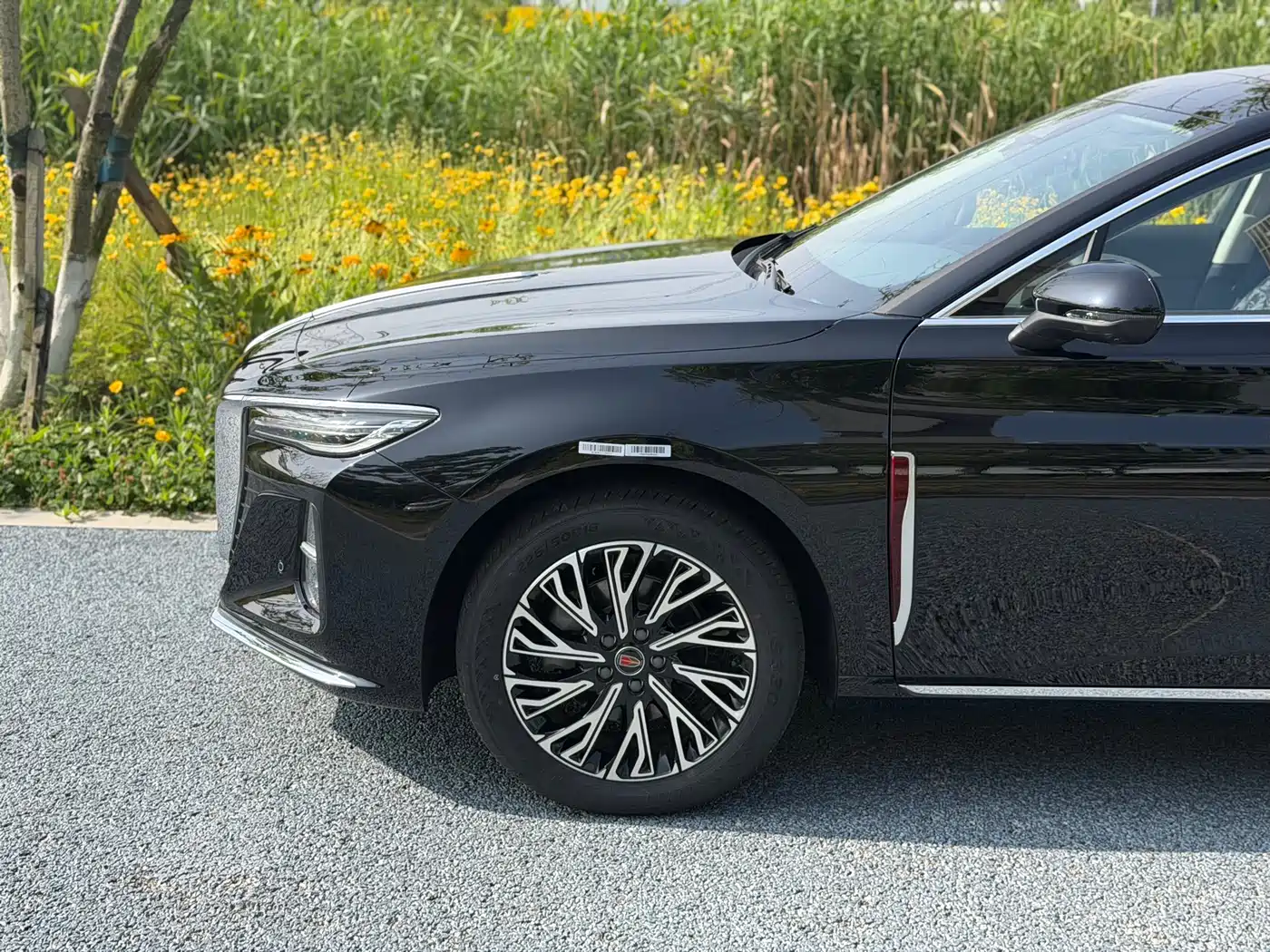 Hongqi H5 2025 2.0T Automatic Flag Celebration 500,000 Units Anniversary Edition фото 5