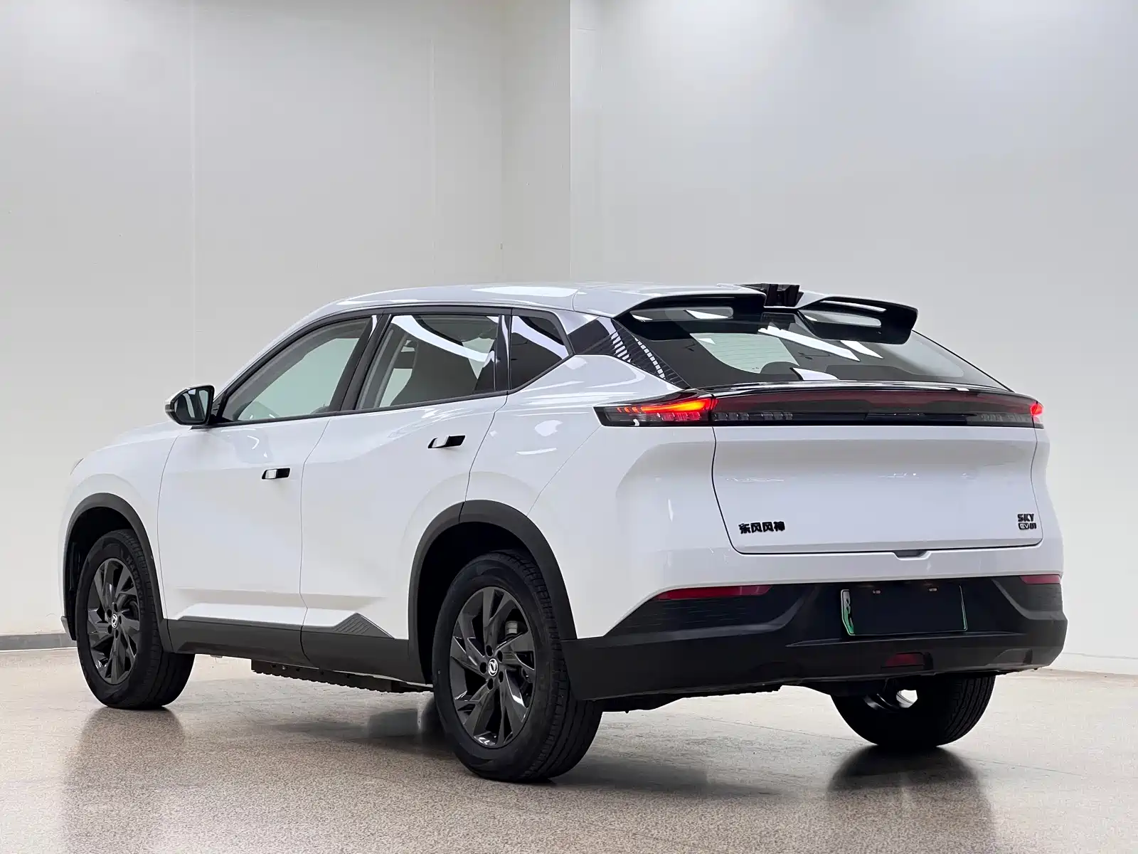Фото 4 - Dongfeng Aeolus SKY EV01