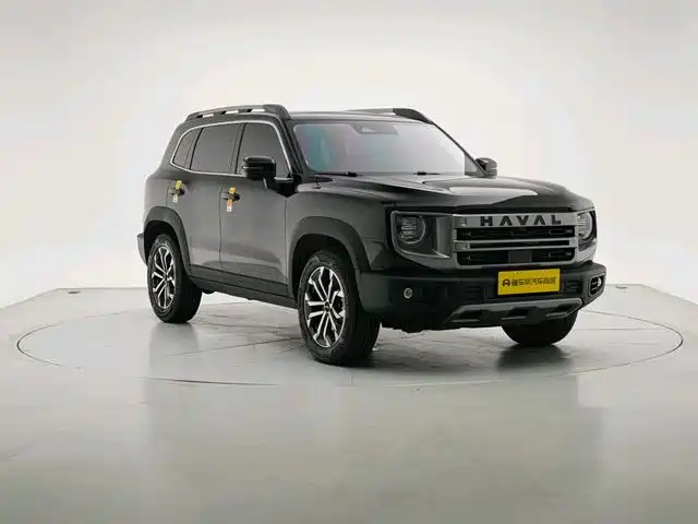 HAVAL BIG DOG