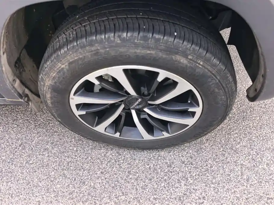 Haval H9 2024 2.0T Gasoline AWD Extreme Edition фото 6