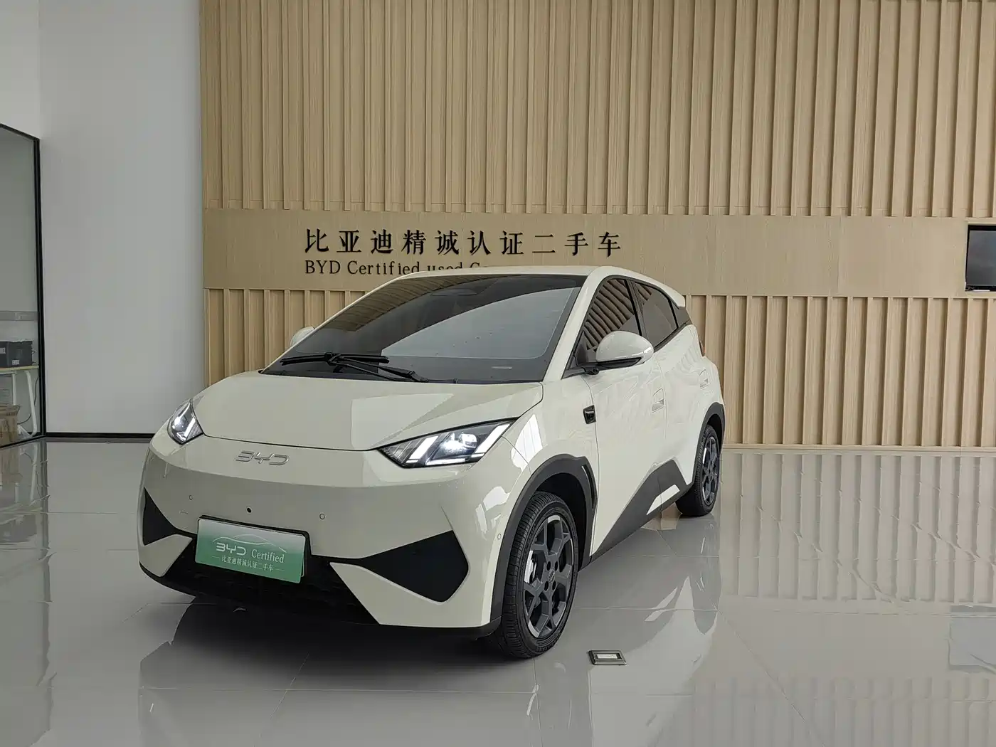 BYD Seagull 2025 Smart Drive Edition 305km Freedom Version