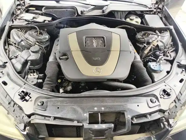 Mercedes-Benz S-Class 2010 S 300 L Business — фото 3