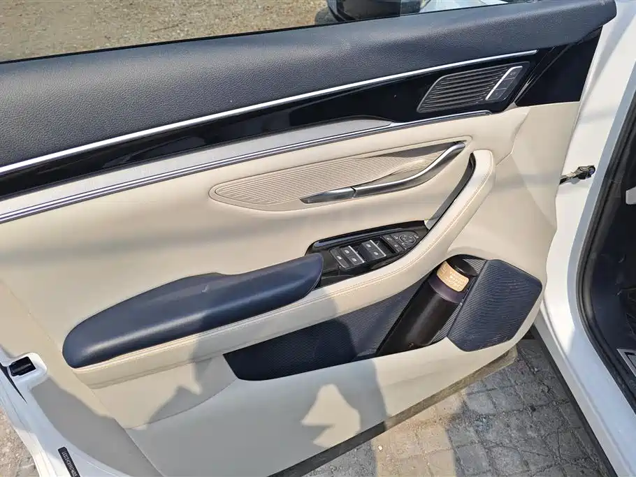 BYD SONGJIANG NEW ENERGY