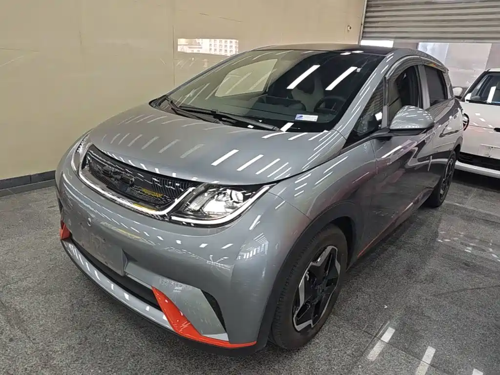 BYD Dolphin 2021