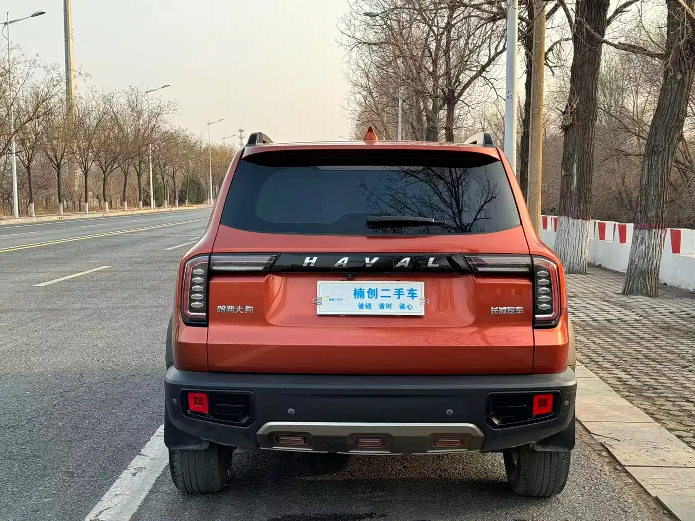 Haval Big Dog 2021 1.5T DCT 2WD Labrador Edition фото 5