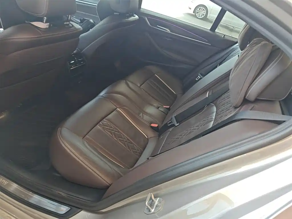 BMW 5 Series New Energy 2020 530Le Range Upgrade Luxury Package фото 17