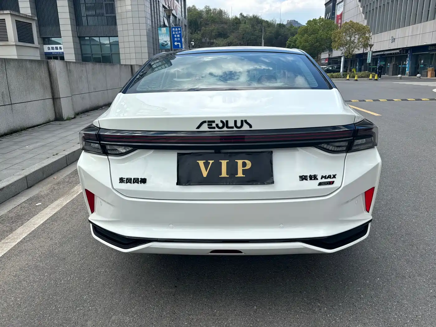 DONGFENG YI HYUN MAX