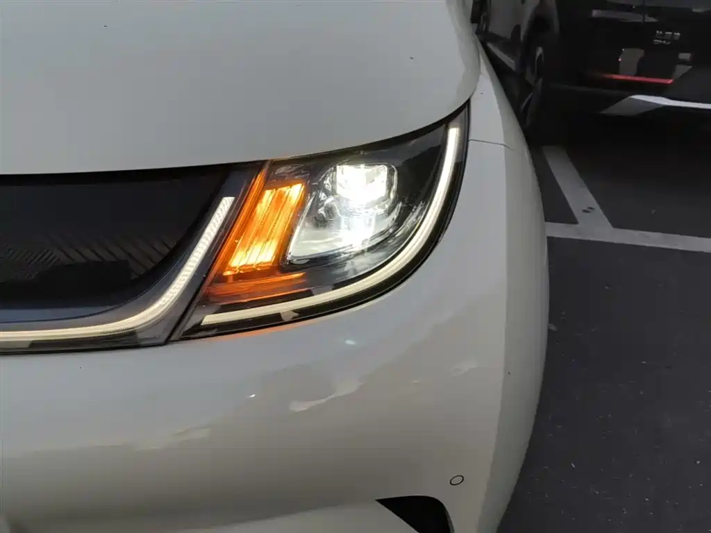 BYD Dolphin 2023 420km Fashion Edition фото 24