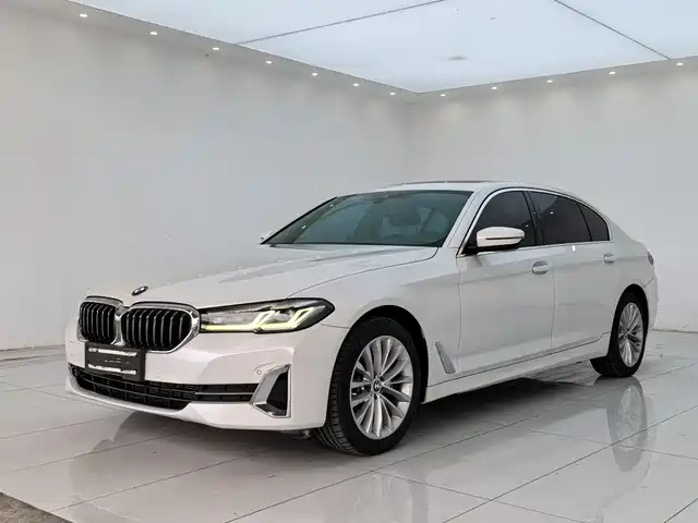 BMW 5 525Li, Люкс-пакет