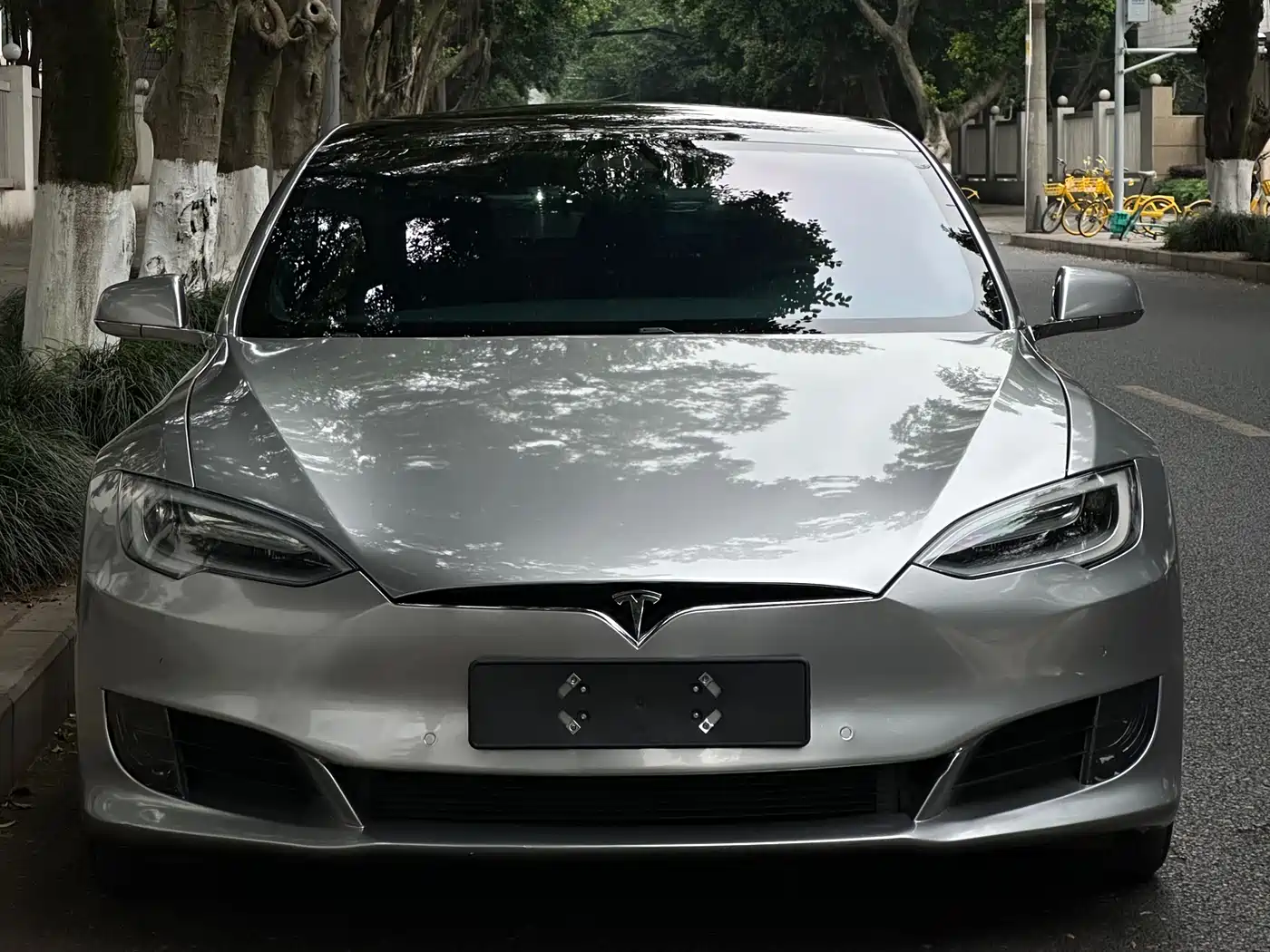 TESLA MODEL S