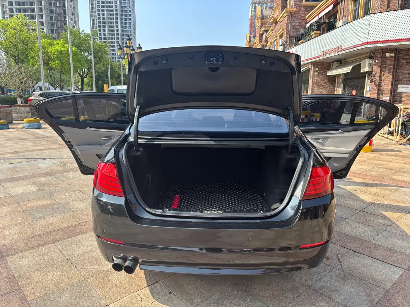 BMW 5 Series 2013 525Li Luxury фото 6