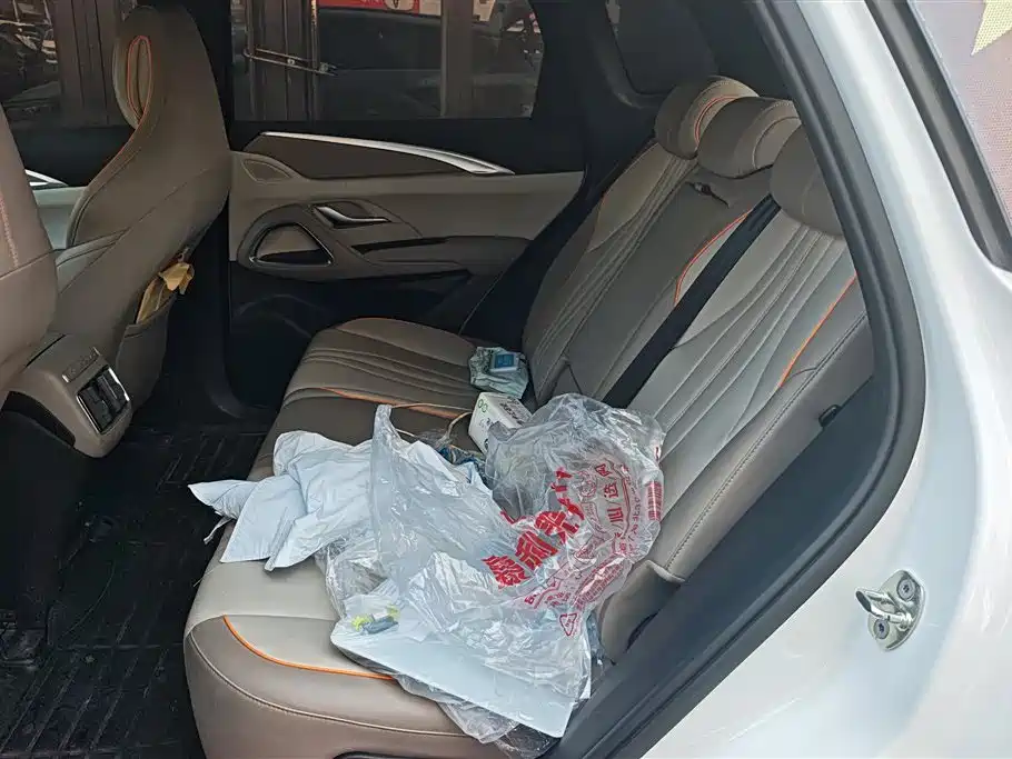 BYD SONGJIANG NEW ENERGY