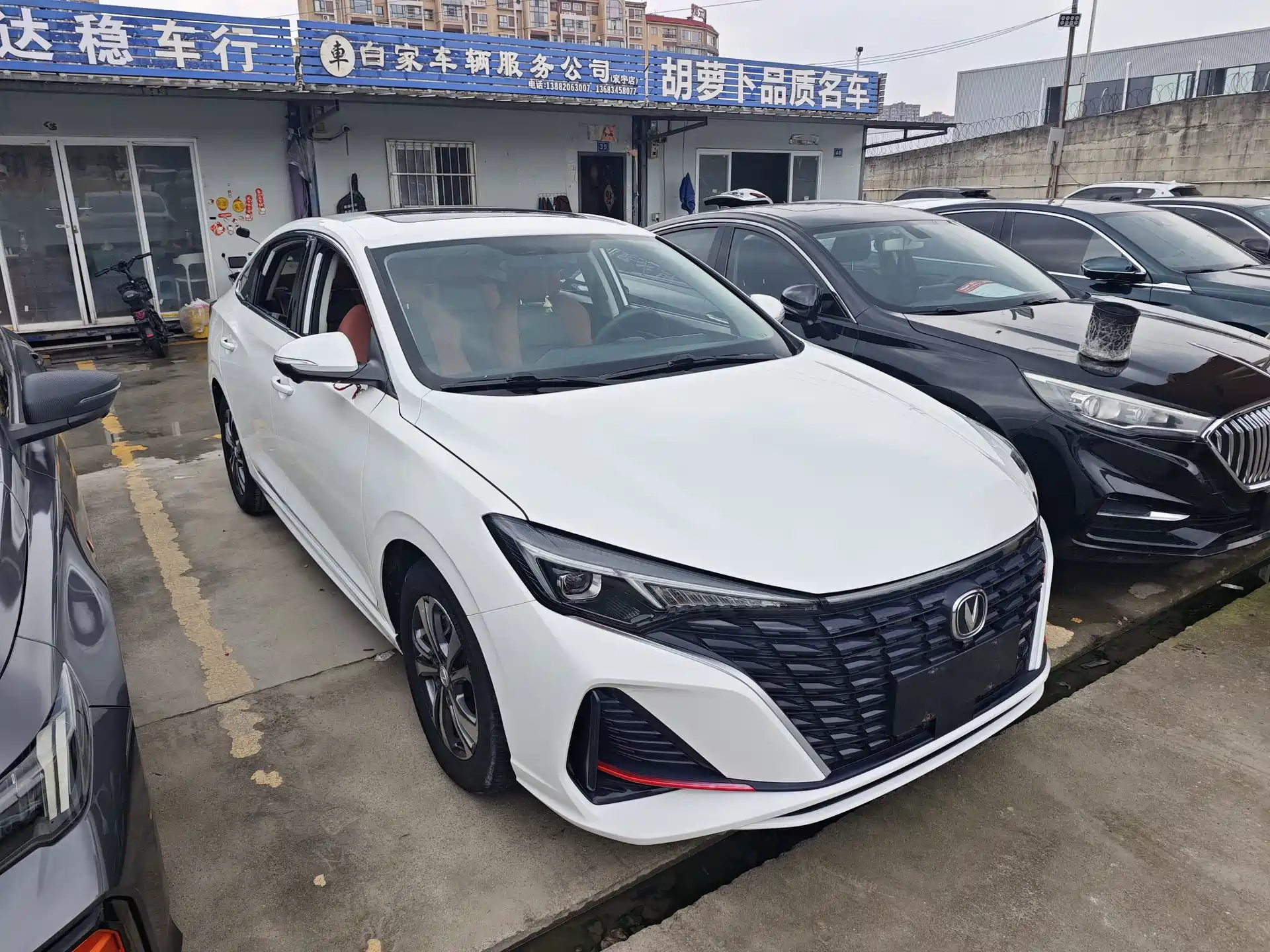 Фото 3 - Changan Eado