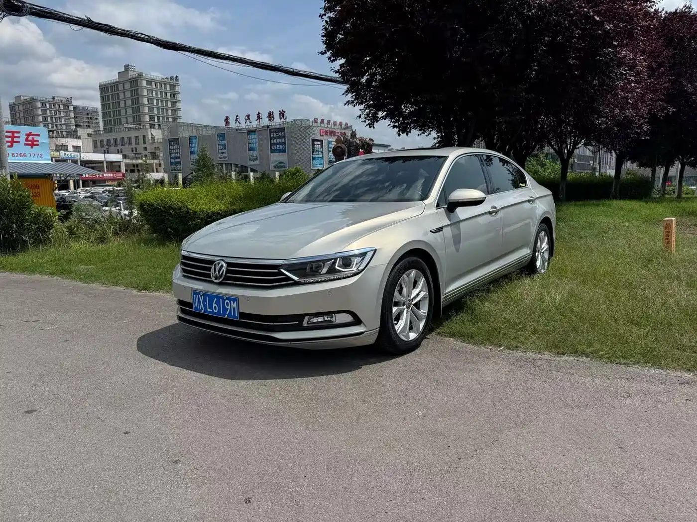 Volkswagen Magotan 2017 330TSI DSG Luxury