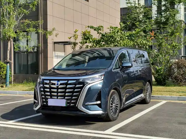  Denza Denza D9 2024 DM-i 980 AWD Prestige