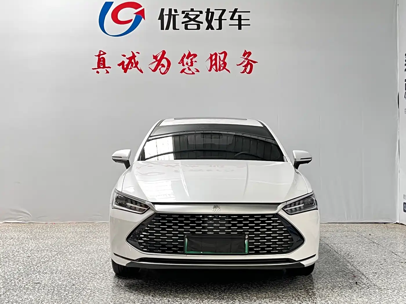 BYD Qin PLUS 2023 Champion Edition DM-i 55KM Surpassing фото 2