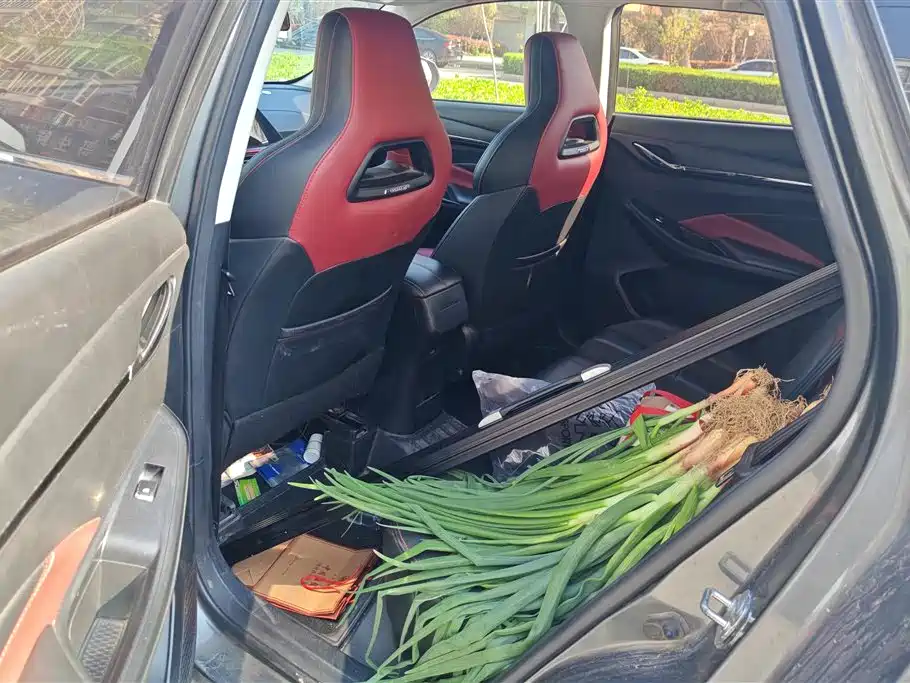 CHANGAN CHANGAN AUCHAN X5