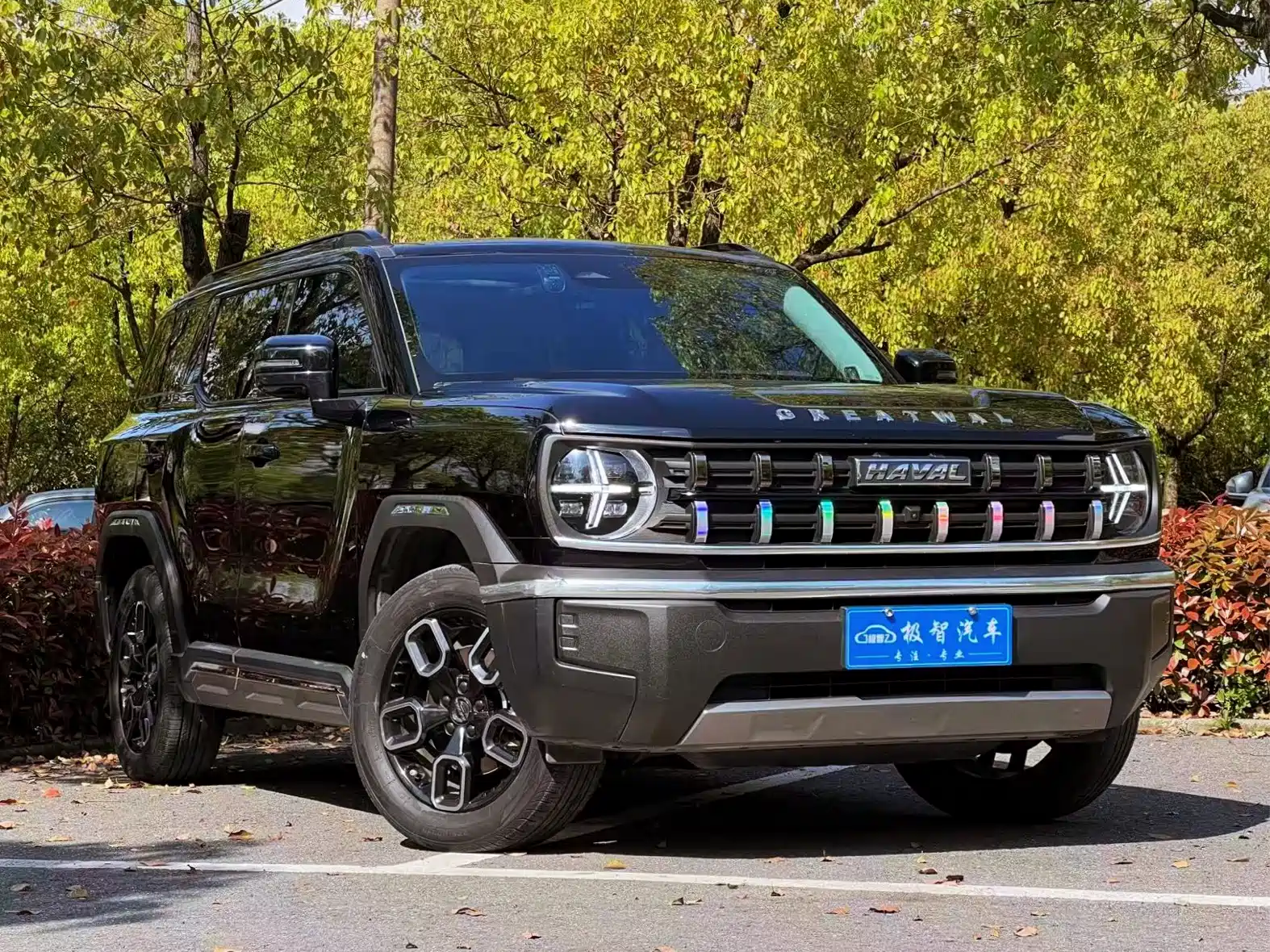 Photo 9 - Haval Cool Dog