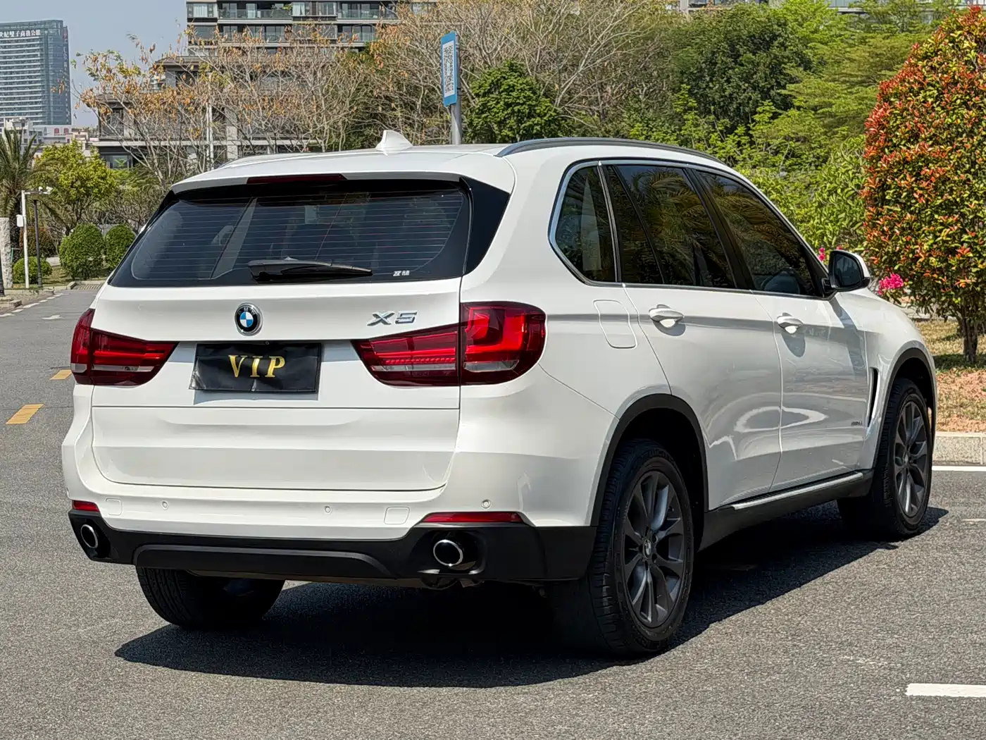 BMW X5 (Import) 2014 xDrive35i Leading фото 6