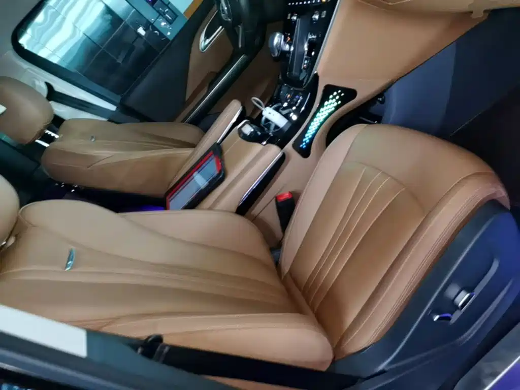 Hongqi HQ9 PHEV 2025 2024 Model 2.0T AWD Business Edition