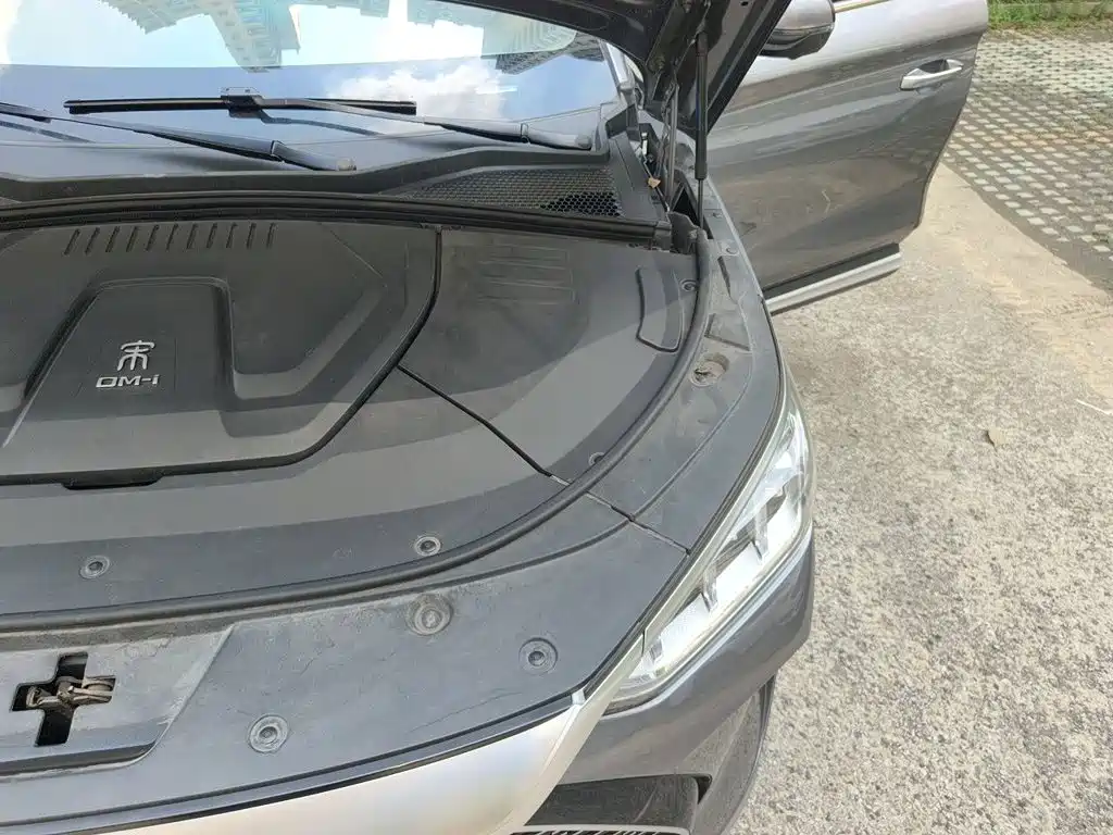 BYD Song PLUS PHEV 2021 2021 DM-i 110KM Flagship PLUS