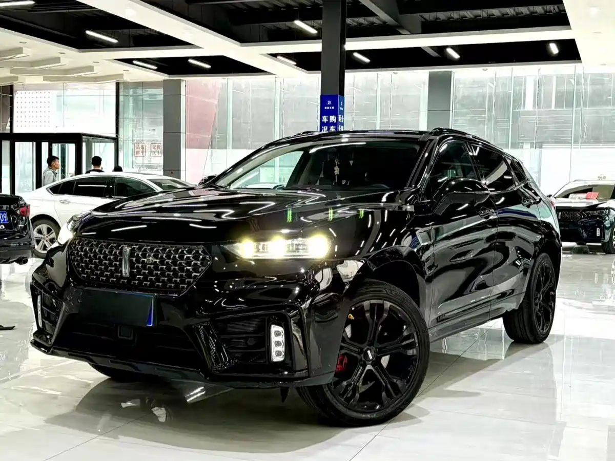 WEI PAI WEI BRAND VV7