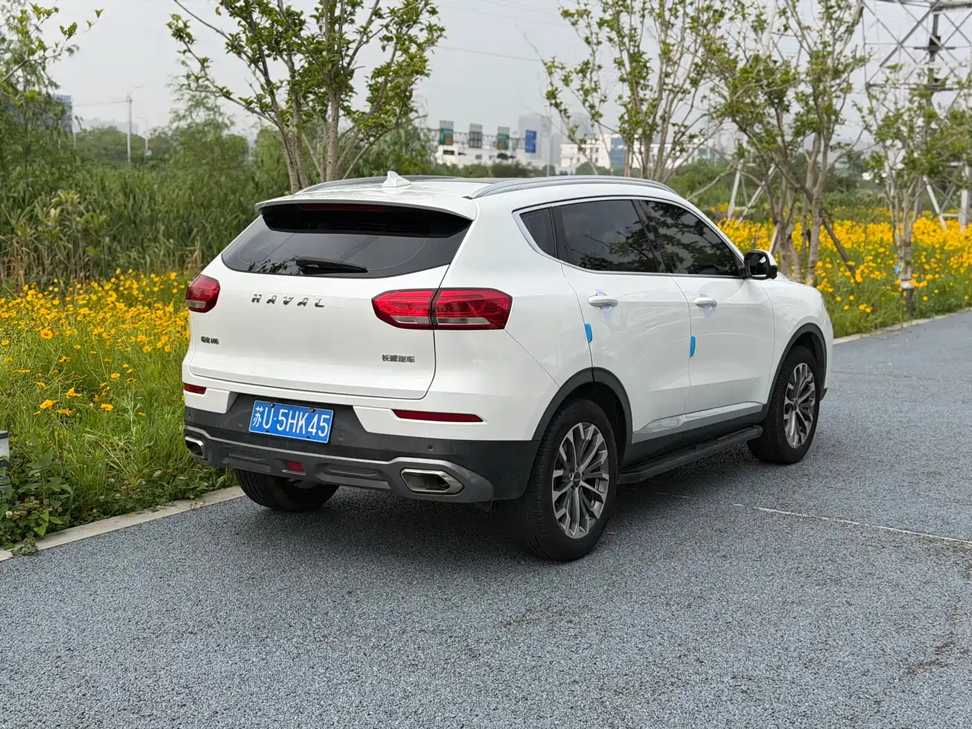 Haval H6 2020 1.5GDIT Automatic Platinum Champion Edition фото 10