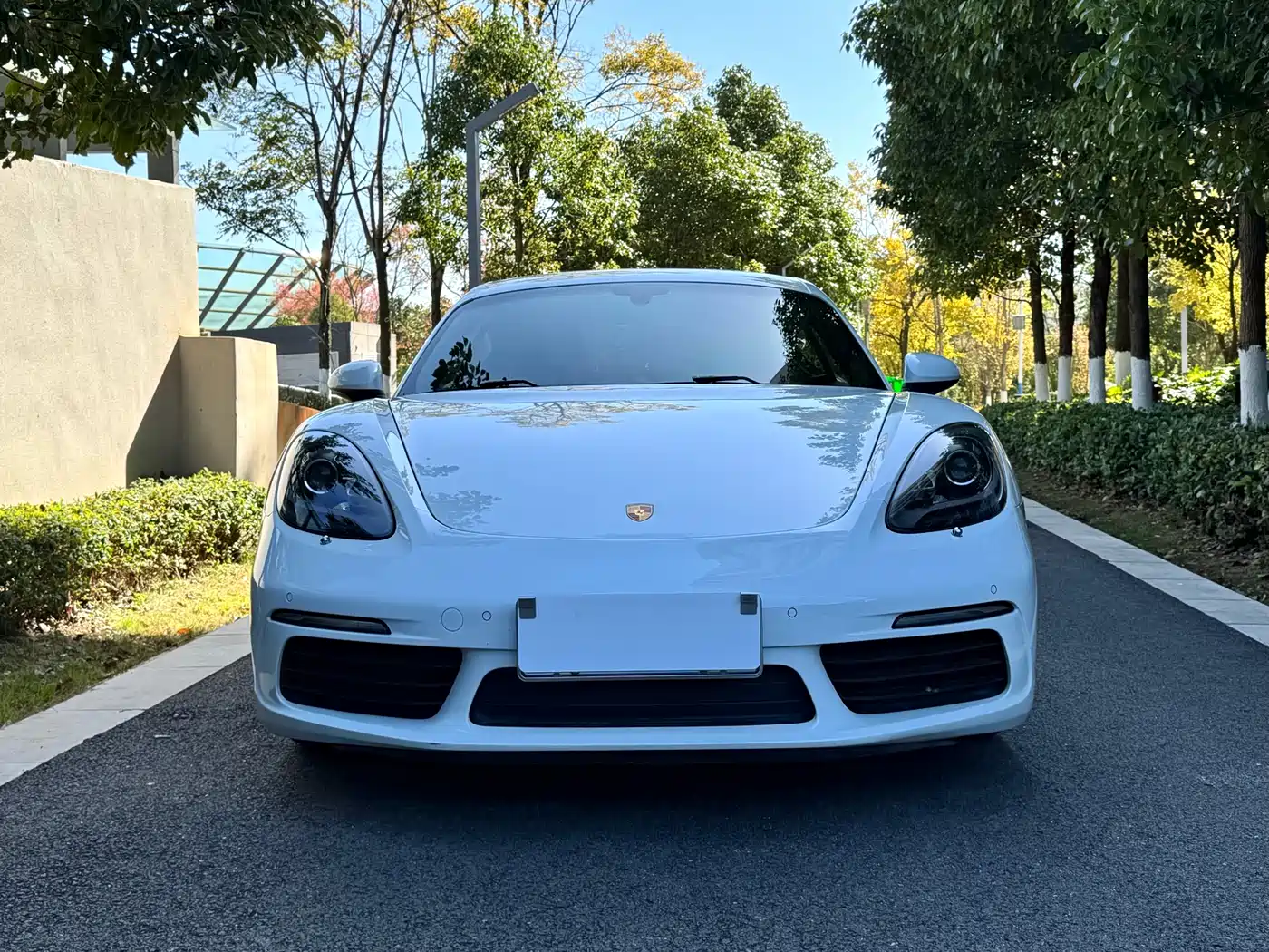 PORSCHE 718