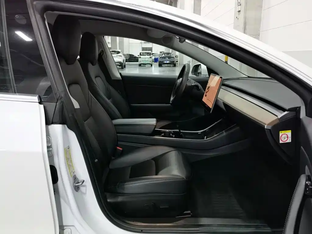 Tesla Model 3 (Import) 2019 2019 Standard Range RWD Upgraded Edition