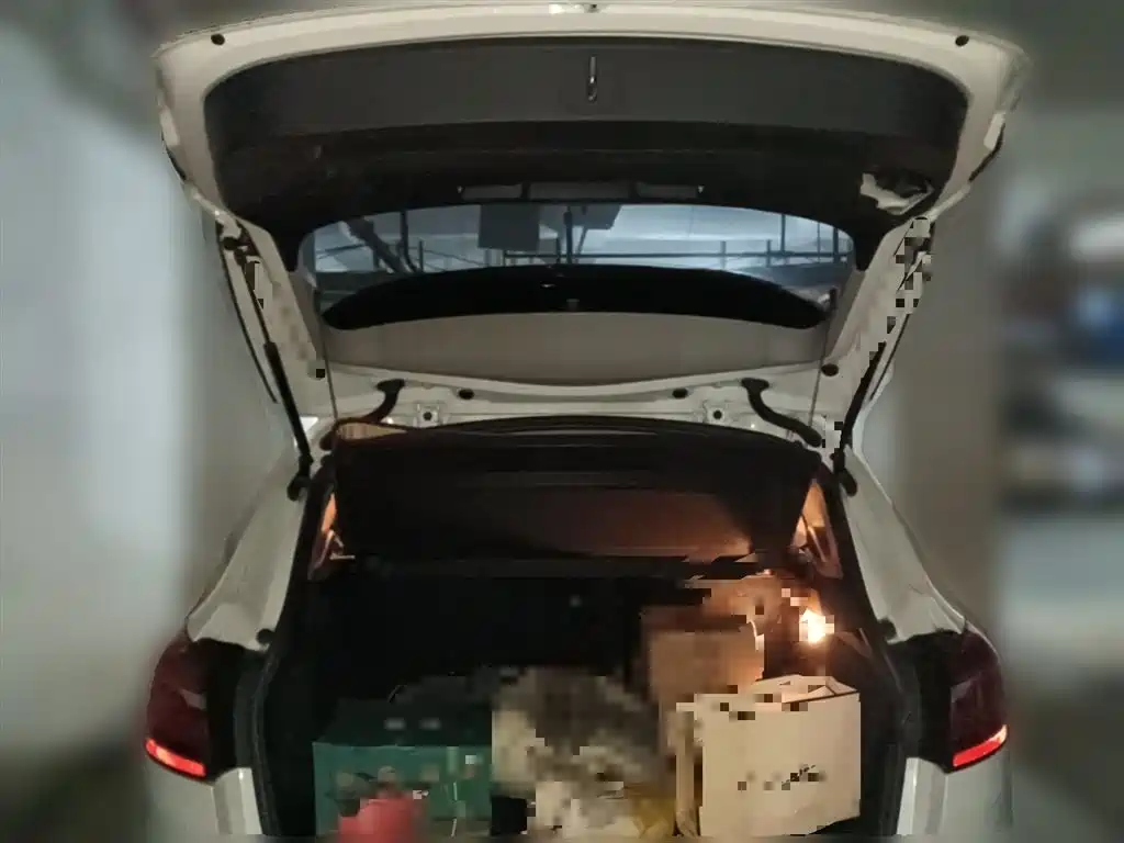 BMW 2 Series Touring 2018 218i Luxury Line фото 10