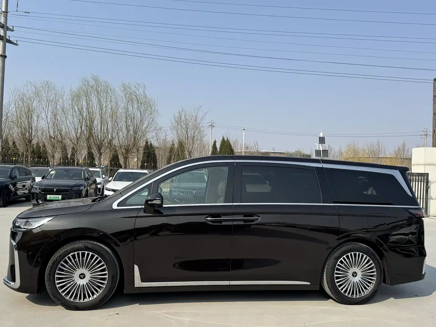 Voyah Auto Voyah Dreamer 2025 PHEV AWD Flagship Kunpeng Edition фото 3