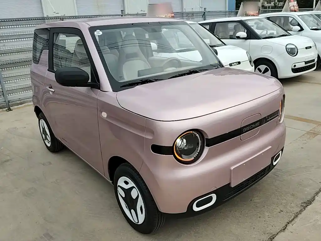 Geely Galaxy Panda 2026 2025 Panda mini 210km Vitality Bear