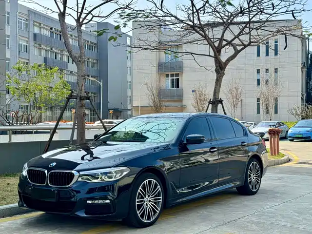 BMW 5 SERIES