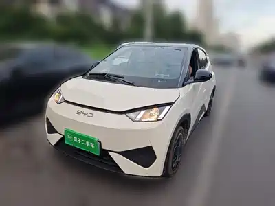 BYD Seagull