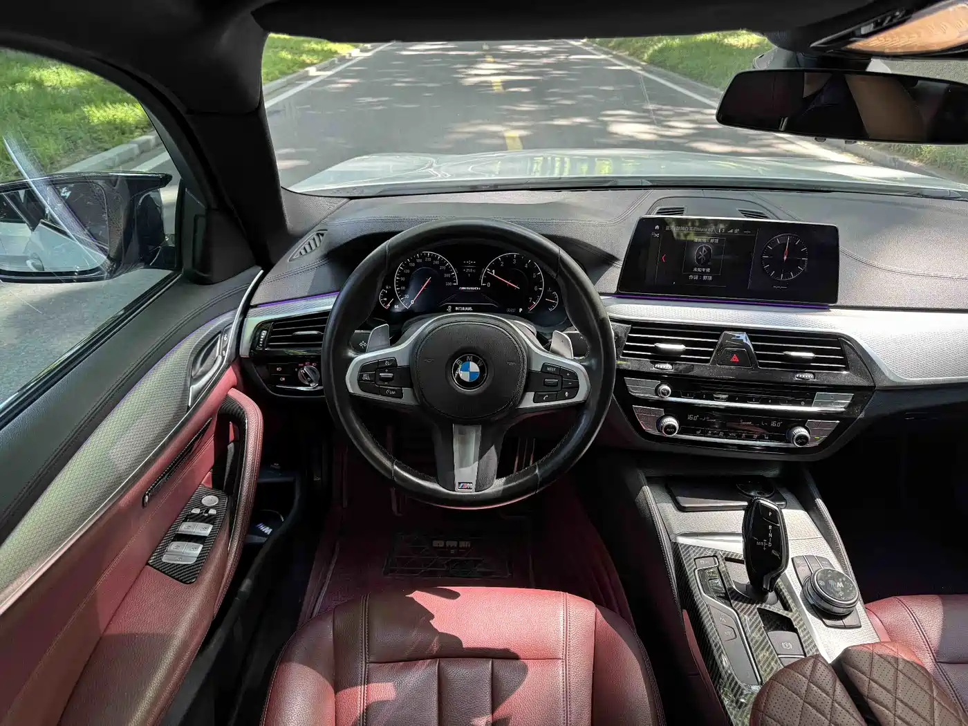BMW 5 Series 2019 530Li Leading M Sport Package фото 7