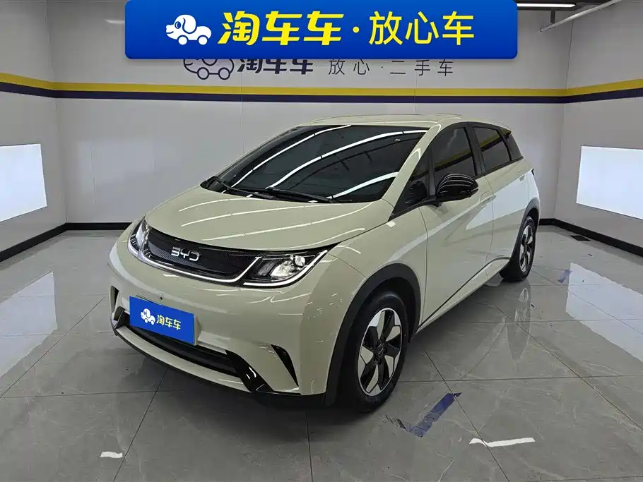 BYD Dolphin 2025 420km Freedom Edition