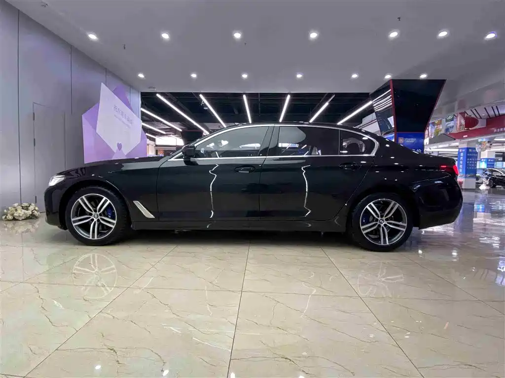 BMW 5 Series 2021 530Li Leading Luxury Package фото 18