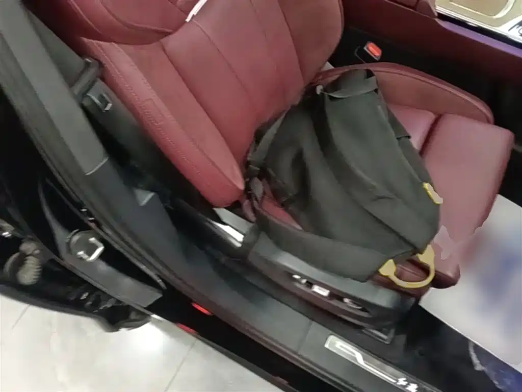 Hongqi E-HS9 2022 690km Qi Xiang Edition (6-seater) фото 25